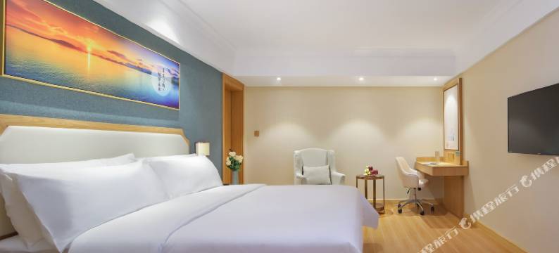 维也纳3好酒店(肥西绿地新都会店)图片