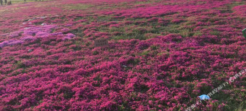 眉县太白山快捷酒店图片