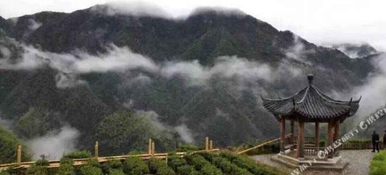 龙泉翠竹山庄农家乐图片