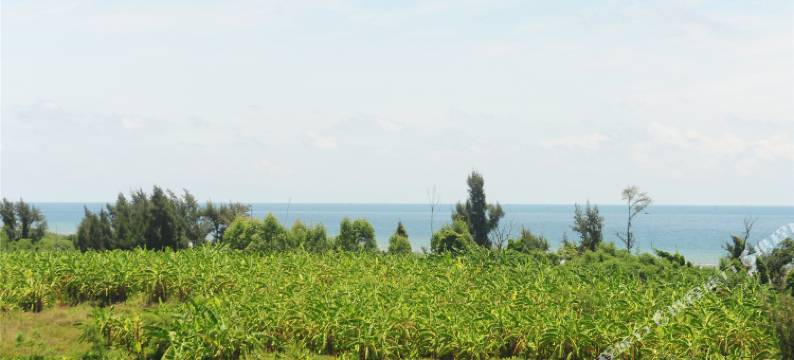 涠洲岛花开半夏海景酒店图片