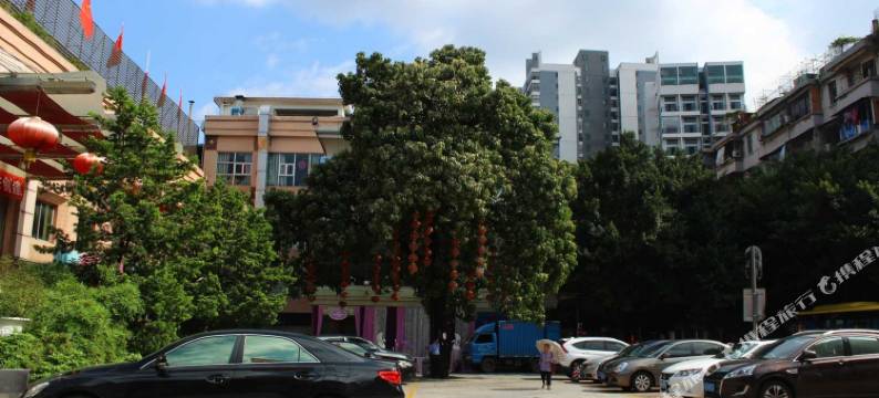 清远湖滨步步高酒店图片