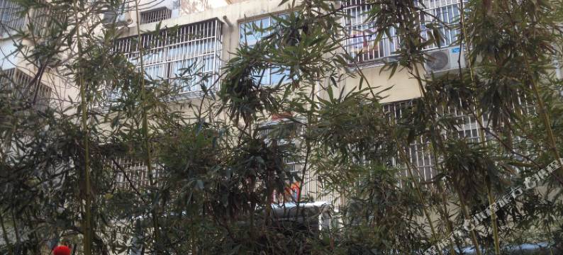 滕州碧桂园宾馆图片