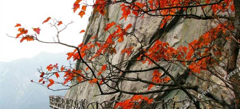 罗田馨香缘农家乐图片