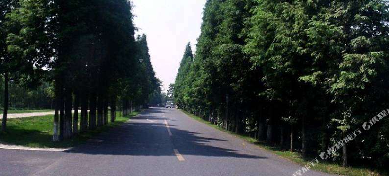 乌镇如莲时光图片