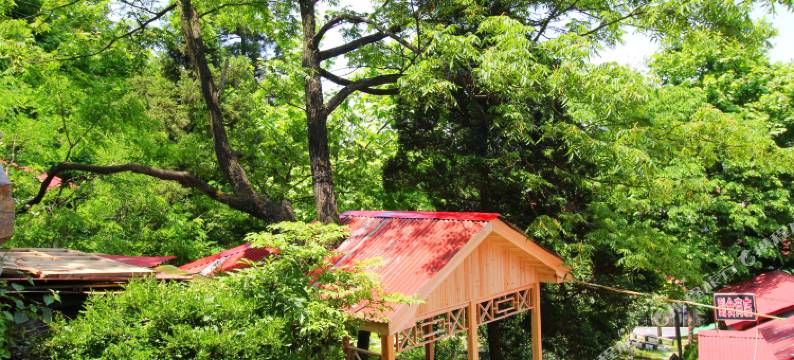 庐山雅逸轩客栈图片