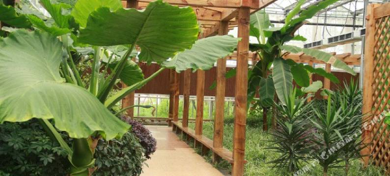 南充锦绣田园酒店图片