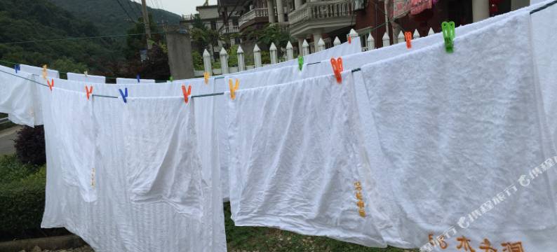 宁海56号双林农居图片