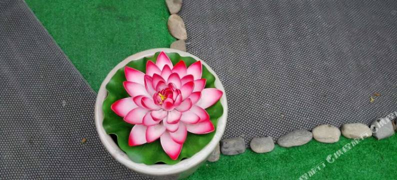 杭州静怡民宿(西湖动物园店)图片