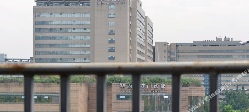 金阳光商务酒店(成都华西医院店)图片