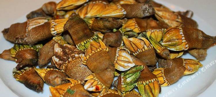 嵊泗皮皮外婆家渔家乐图片