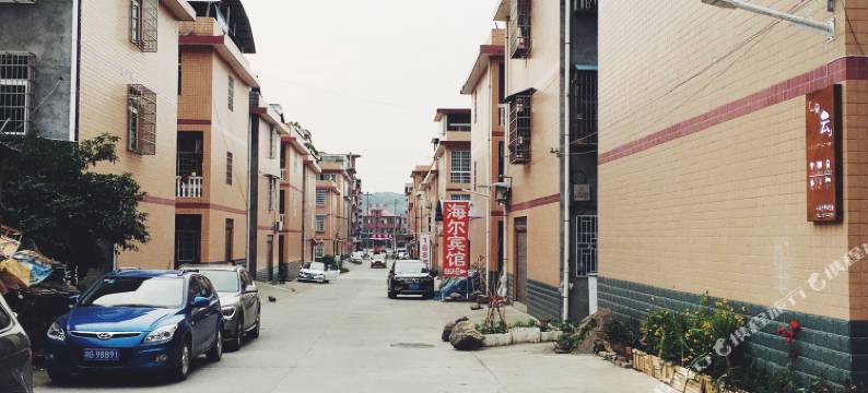 张家界一朵云青年旅舍(天门山索道店)图片