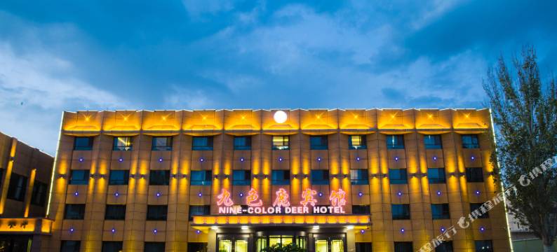 敦煌九色鹿宾馆图片
