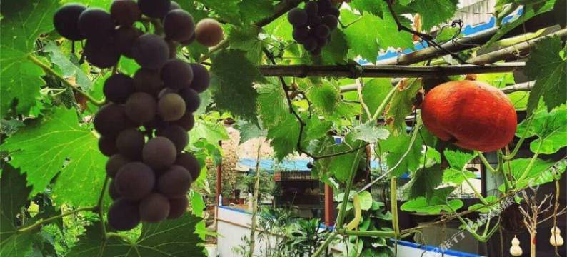 西安脸谱青年旅舍(钟楼地铁站店)图片