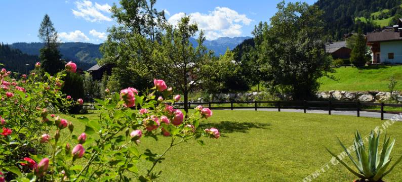 克伦尼西尔切酒店(Hotel Kronenhirsch)图片
