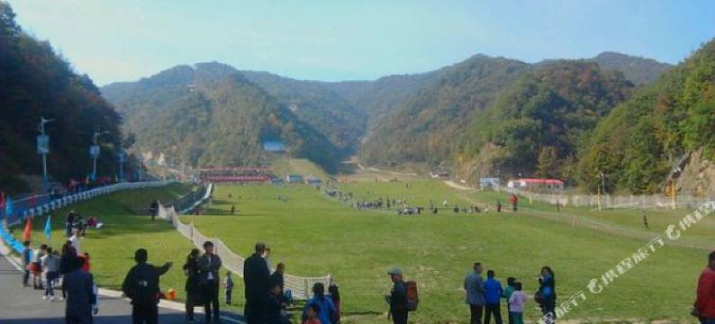 栾川雪中情山庄图片