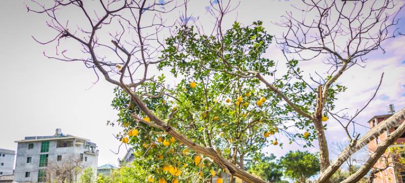 霞浦滩涂日出摄影民宿图片