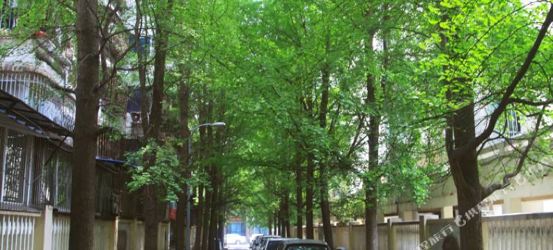 成都地铁1号线倪家桥美领馆川大旁温馨小窝普通公寓图片