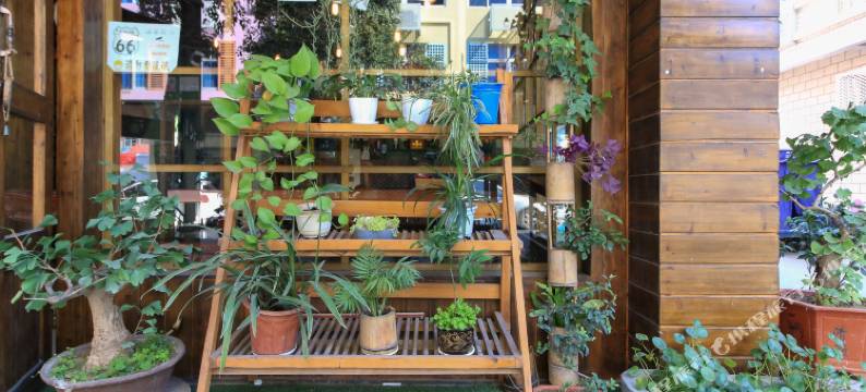 横店66号青年客栈图片