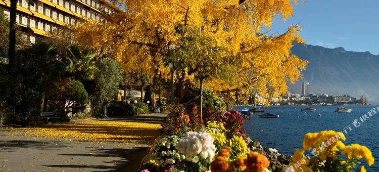 蒙特鲁皇家广场(Royal Plaza Montreux)图片