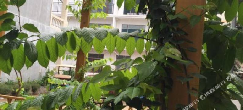 天涯海角时光花园海景客栈(三亚南山店)图片