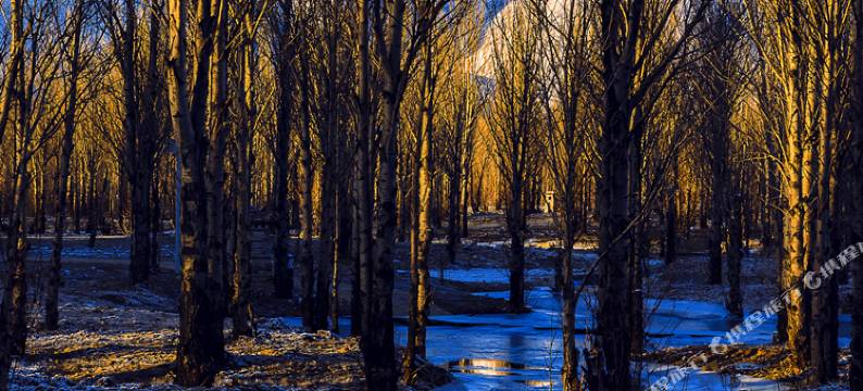 稻城明宇丽雅阳光温泉酒店图片