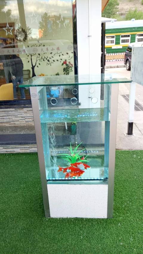 呼伦贝尔火车度假营地(海拉尔火车站店)图片