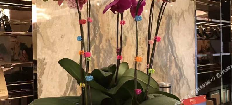 瑞安瑞立外滩酒店图片