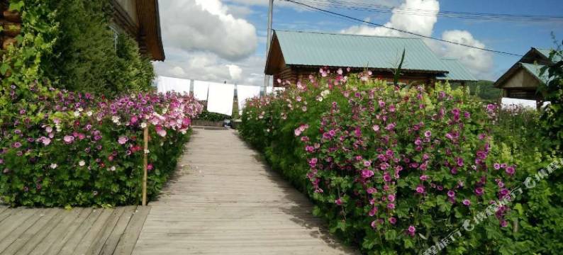 额尔古纳恩和朋来客栈图片