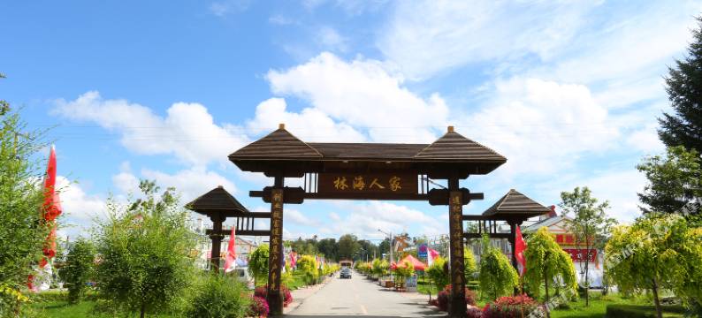 奈斯时尚客栈(长白山黄松蒲检票大厅店)图片