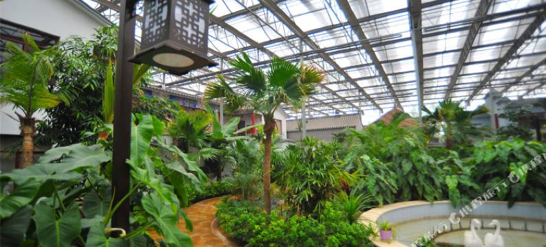 灵石王家庄园风情别墅园图片