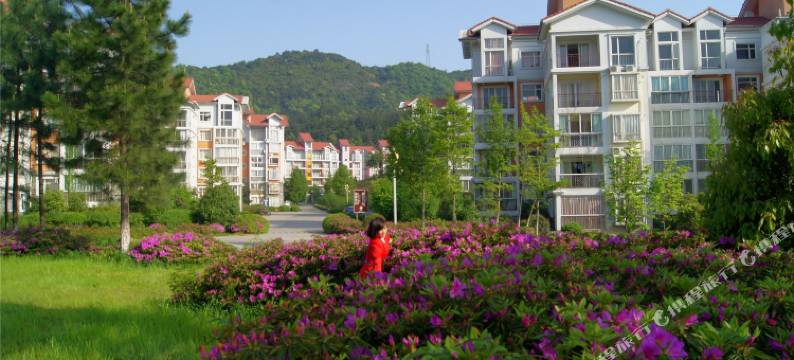 庐山西海温泉假日酒店图片