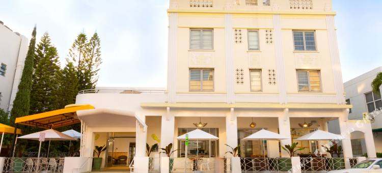 迈阿密海滩旅行者(Viajero Miami)图片