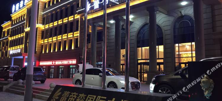 西宁蕾帝森国际大酒店(城南新区会展中心店)图片