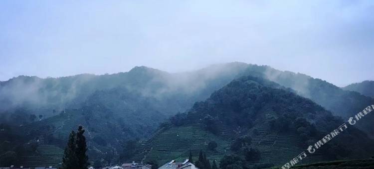杭州山清民宿(西湖风景区梅家坞店)图片