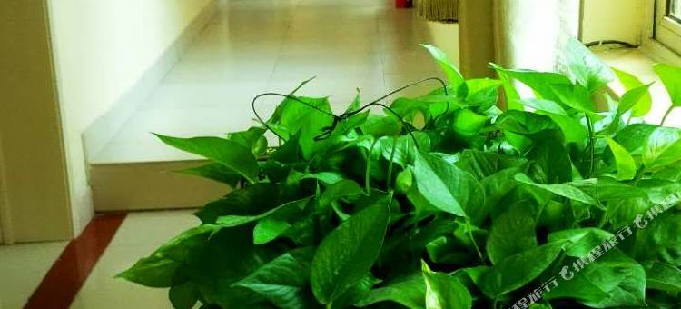 温馨宾馆(德州学院店)图片