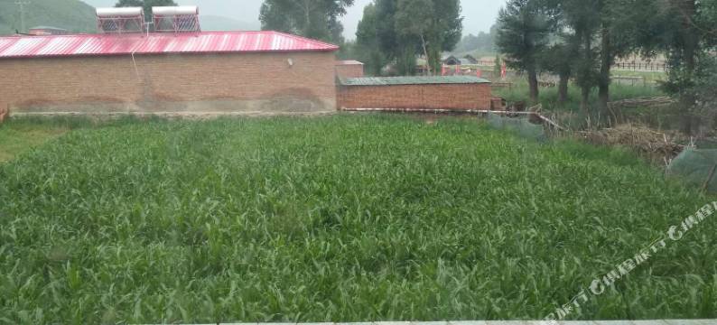 丰宁乔家大院农家院图片