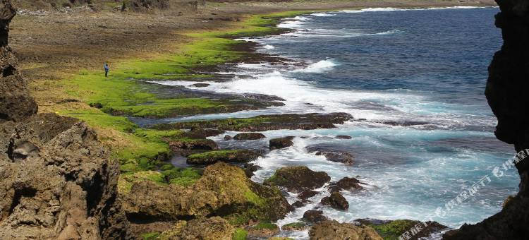 洋老院民宿图片