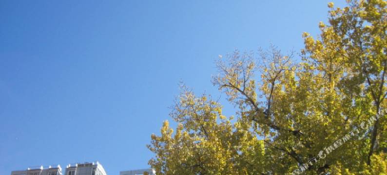 北京交大西门学林雅舍图片