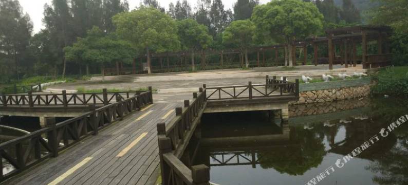 普陀山君来悦客栈图片