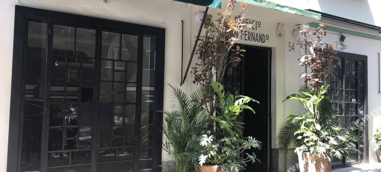 圣费尔南多酒店(Hotel San Fernando)图片
