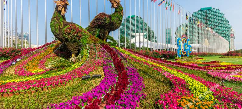 三亚郭聪聪普通公寓图片