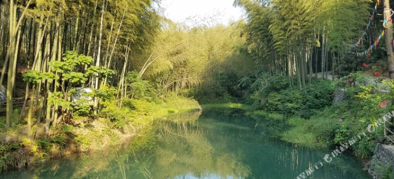 蜀南竹海三合度假酒店图片