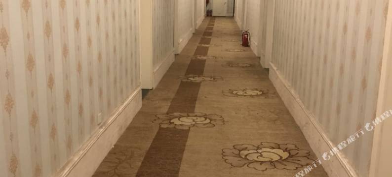 中牟万庭主题酒店图片