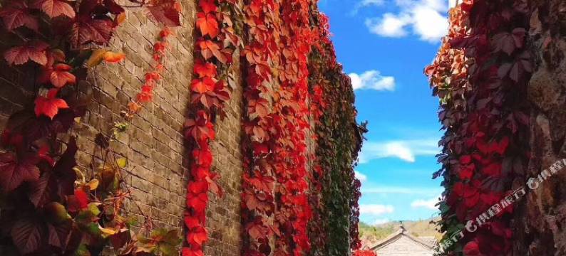 北京宝金民俗饭庄图片