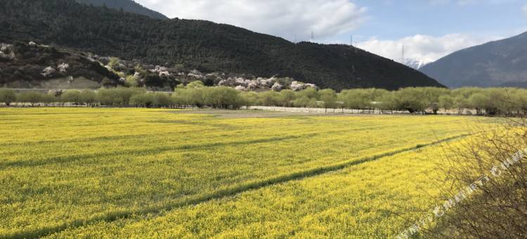 林芝猎人青年客栈图片