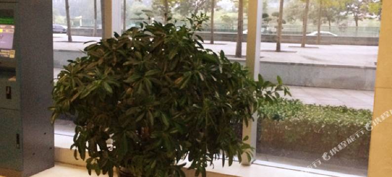 天津丽嘉公寓图片