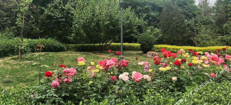 北京雷拉公寓图片