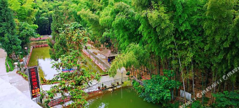 蜀南竹海三合度假酒店图片