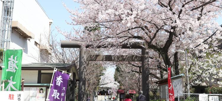 东京樱花旅馆(Tokyo Sakura Hotel)图片