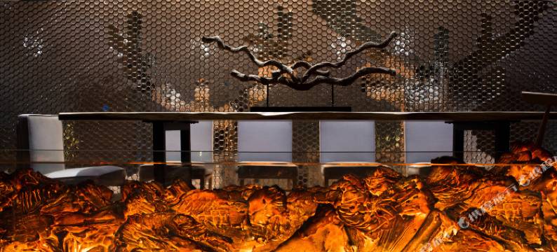 穗和瑞斯丽酒店(广州白云国际机场T3航站楼人和地铁站店)图片